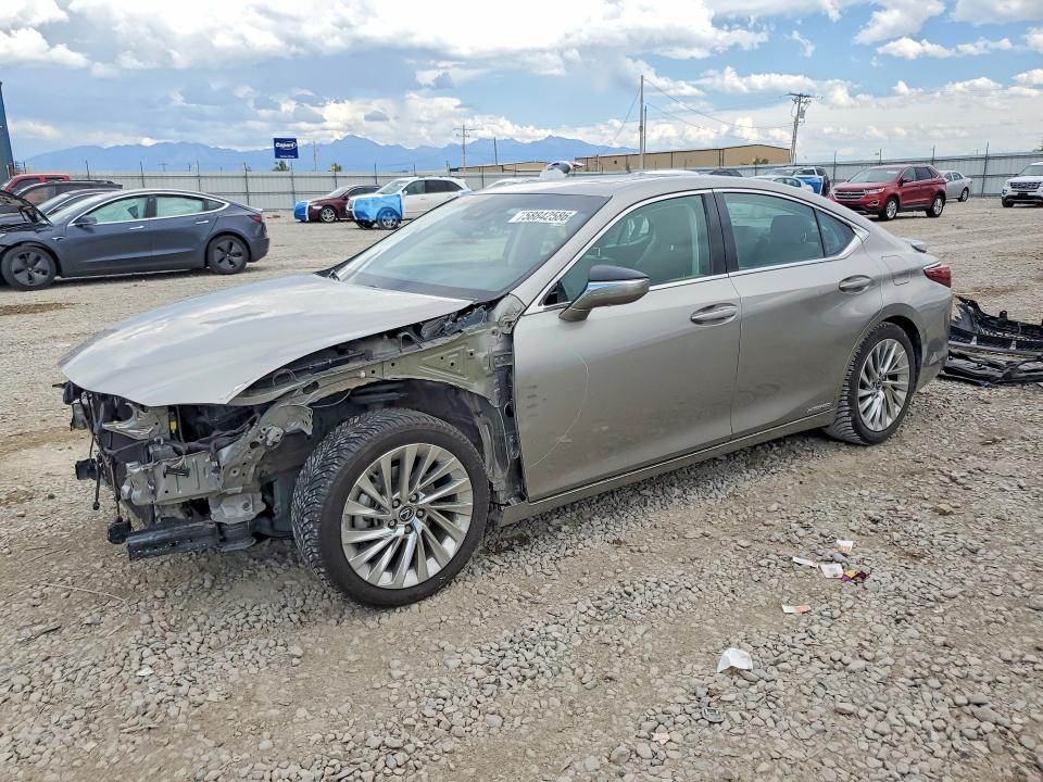 2020 LEXUS ES 300H LUXURY - 1