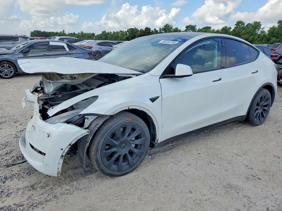 2022 TESLA MODEL Y - 1