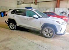 2024 TOYOTA RAV4 XLE - 1