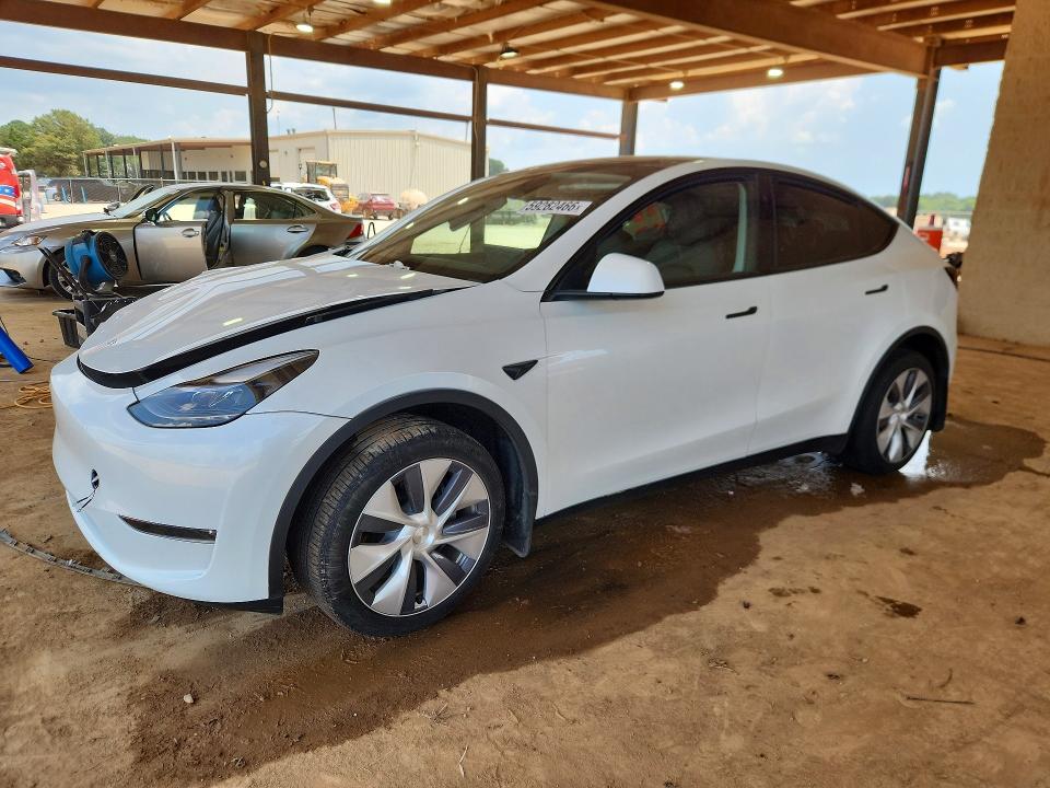 2023 TESLA MODEL Y - 1