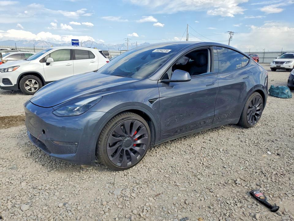 2021 TESLA MODEL Y - 1
