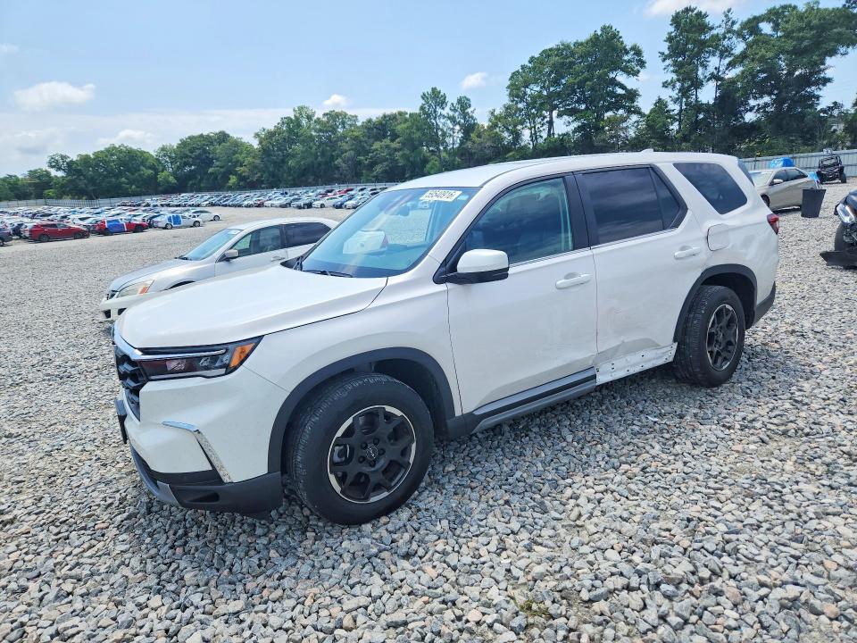 2025 HONDA PILOT EXL - 1