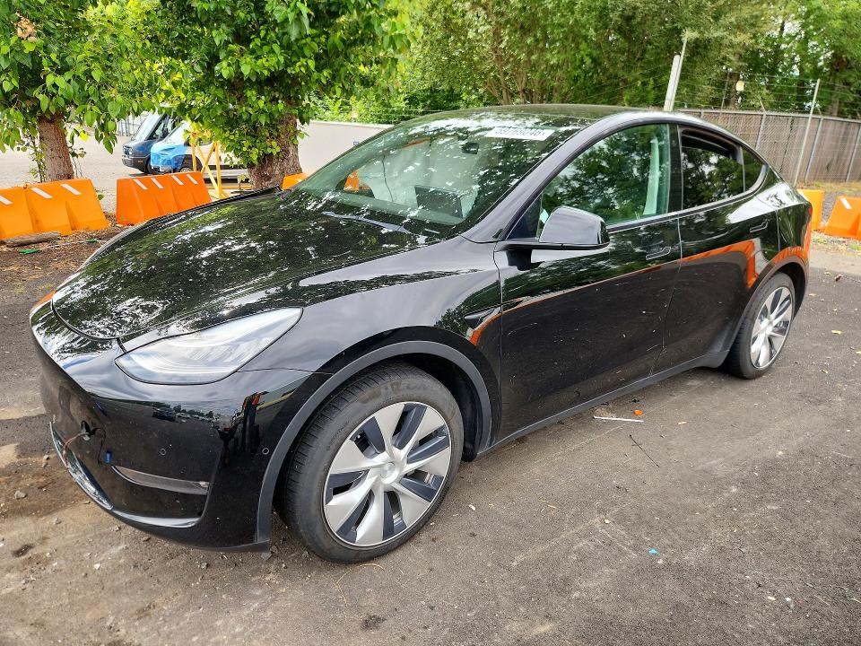 2021 TESLA MODEL Y - 1