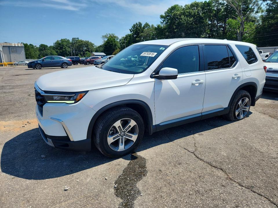 2024 HONDA PILOT EXL - 1