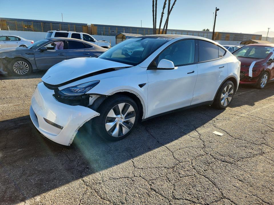 2021 TESLA MODEL Y - 1