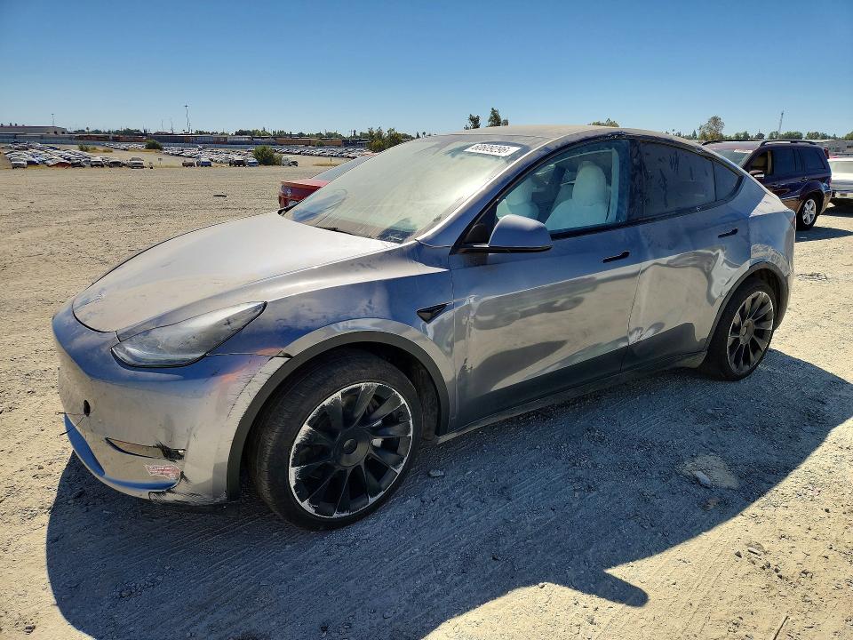 2025 TESLA MODEL Y - 1