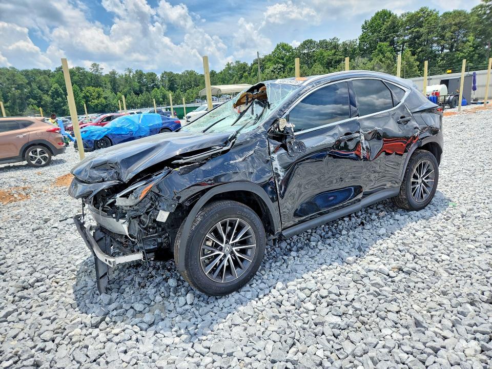 2024 LEXUS NX 250 PREMIUM - 1