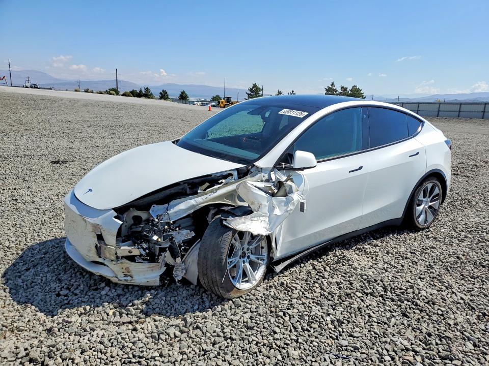 2021 TESLA MODEL Y - 1