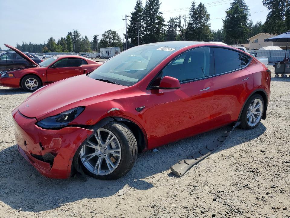 2023 TESLA MODEL Y - 1