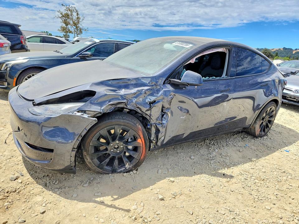 2023 TESLA MODEL Y - 1