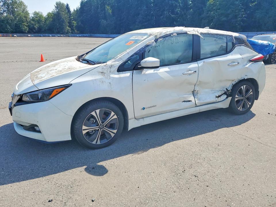 2019 NISSAN LEAF SV PLUS - 1