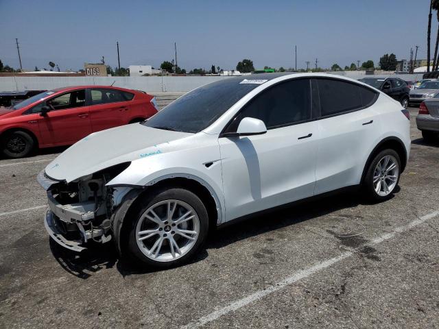 2023 TESLA MODEL Y - 1