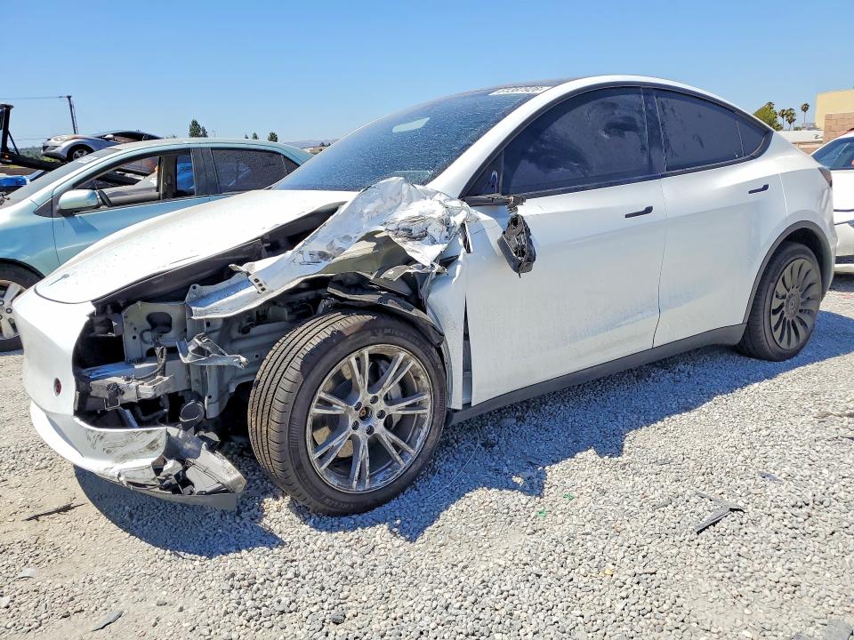 2023 TESLA MODEL Y - 1