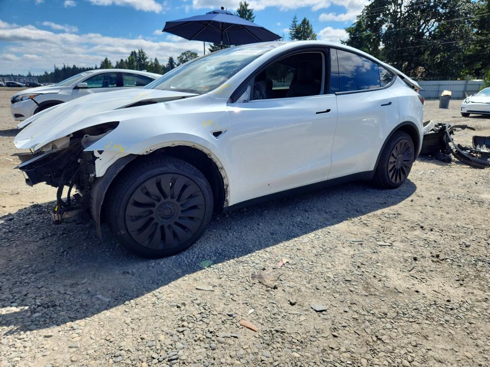 2021 TESLA MODEL Y - 1