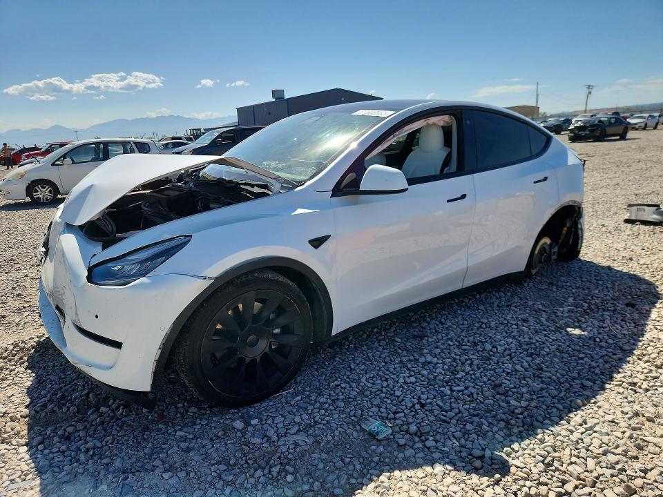 2021 TESLA MODEL Y - 1
