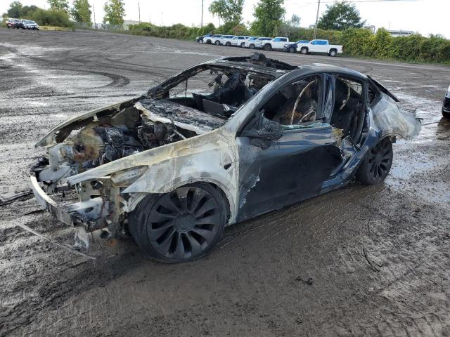 2022 TESLA MODEL Y - 1