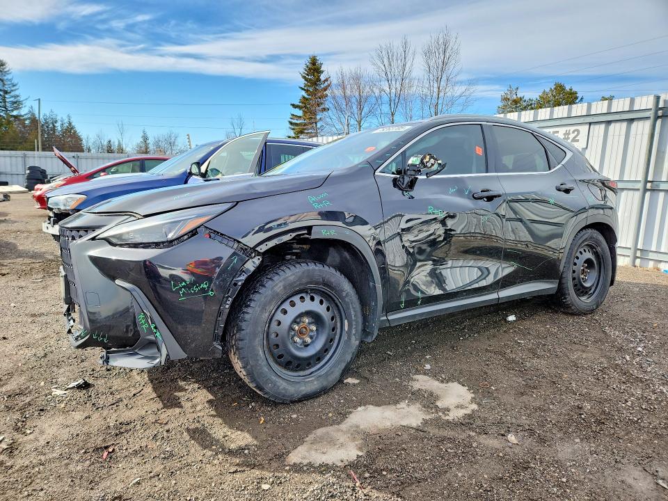 2022 LEXUS NX 250 - 1