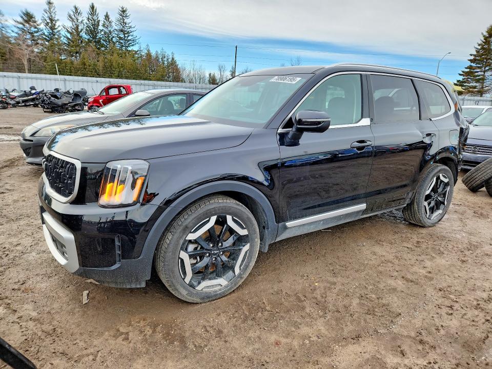 2024 KIA TELLURIDE EX - 1