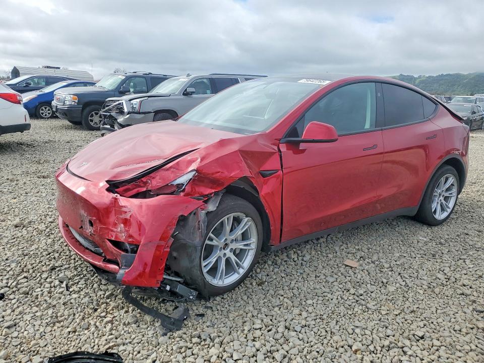 2024 TESLA MODEL Y - 1