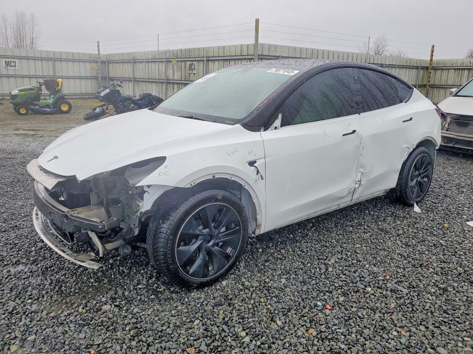 2023 TESLA MODEL Y - 1