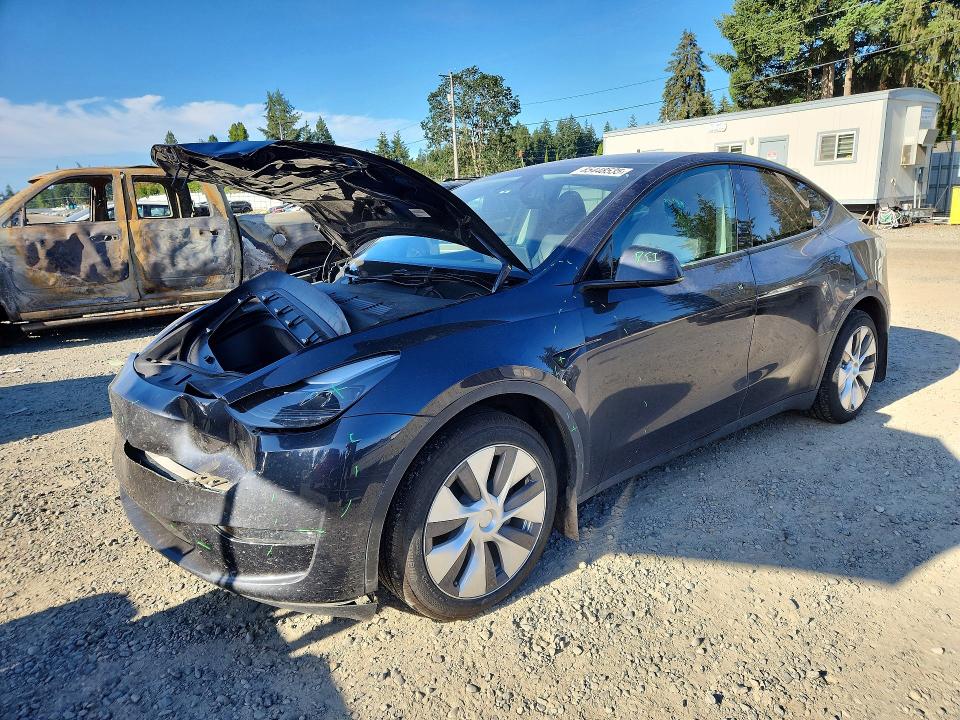 2024 TESLA MODEL Y - 1