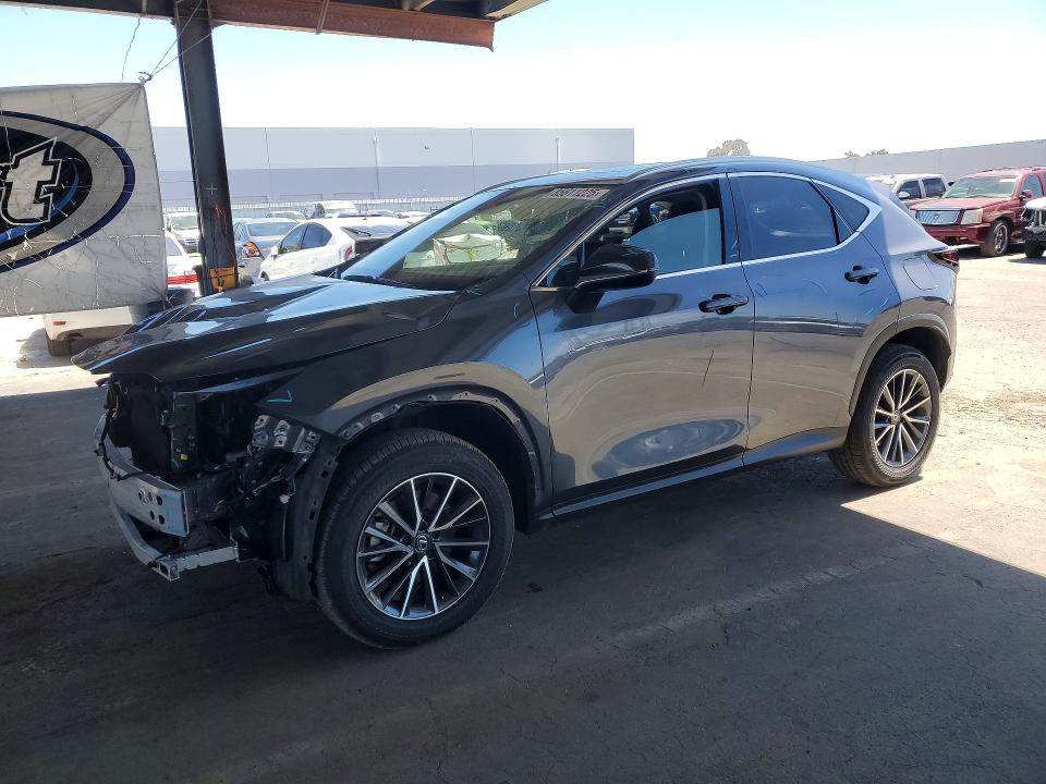 2024 LEXUS NX 250 BASE - 1