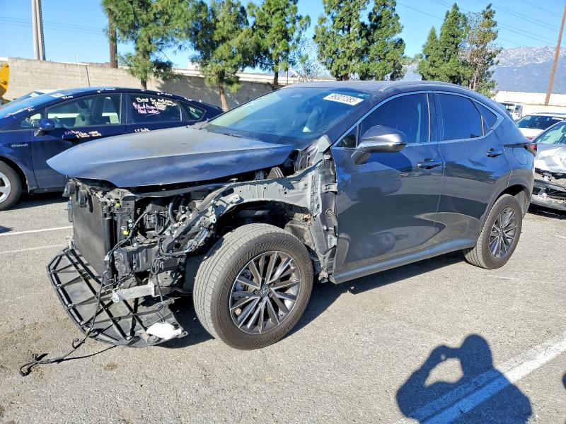 2024 LEXUS NX 350 BASE - 1