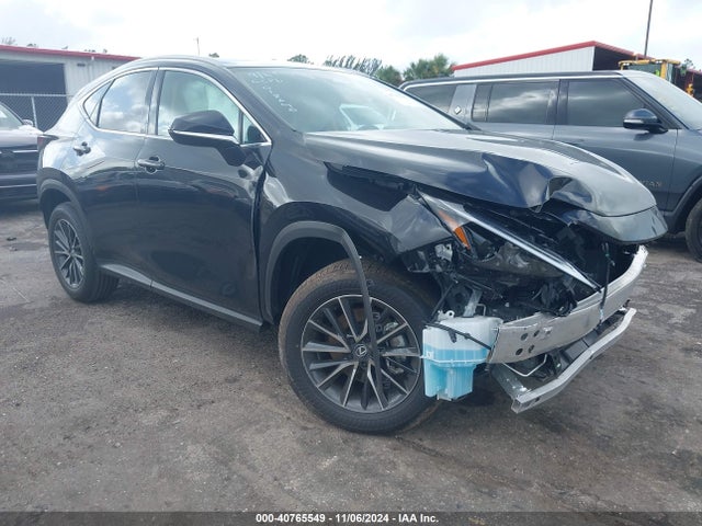 2025 LEXUS NX 250 - 1
