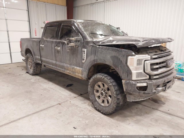 2020 FORD F-250 PLATINUM - 1