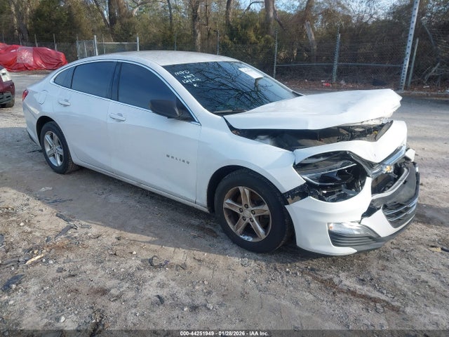 2019 CHEVROLET MALIBU 1LS - 1