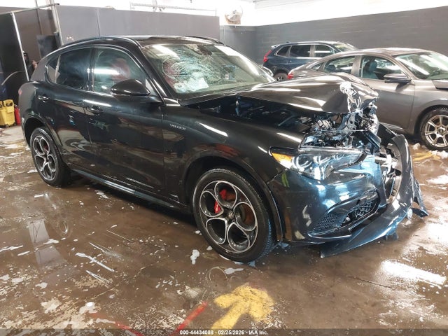 2024 ALFA ROMEO STELVIO VELOCE AWD - 1