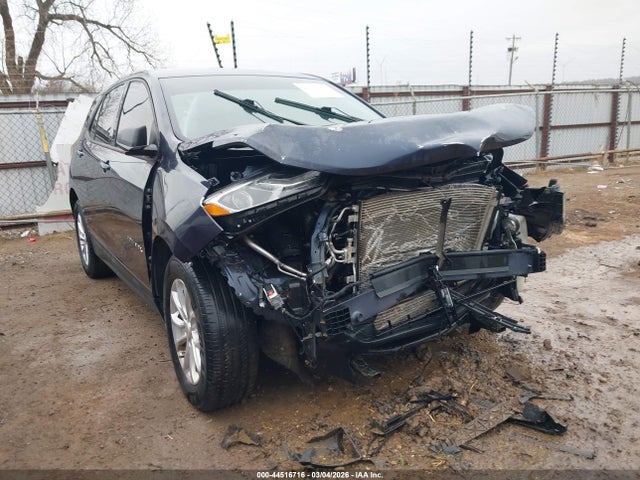 2019 CHEVROLET EQUINOX LS - 1