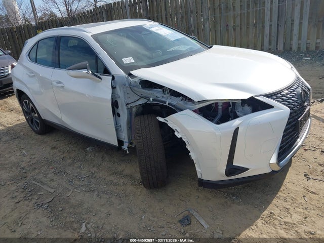2025 LEXUS UX 300H PREMIUM - 1