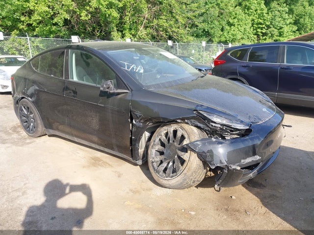2025 TESLA MODEL Y - 1