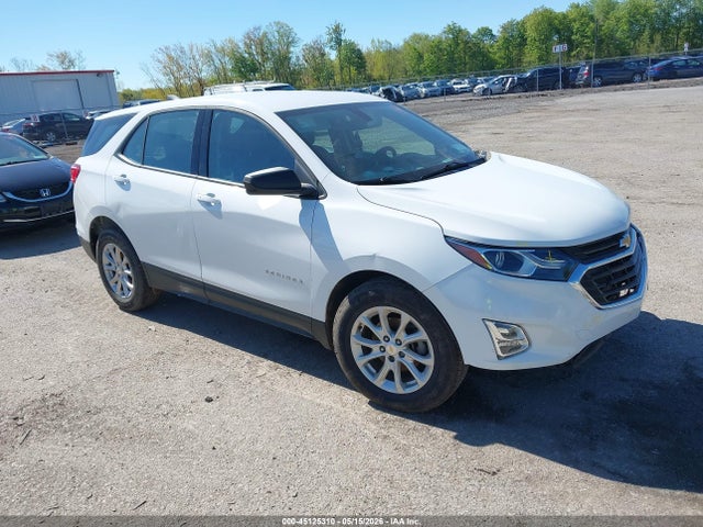 2019 CHEVROLET EQUINOX LS - 1