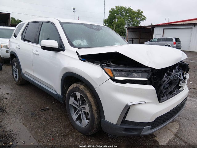 2025 HONDA PILOT EX-L - 1