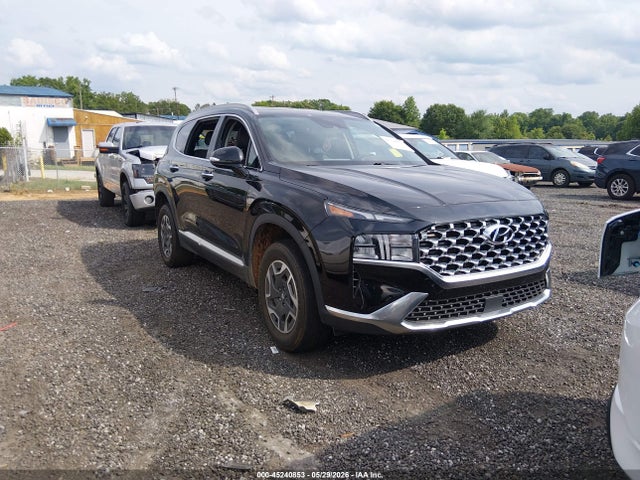 2023 HYUNDAI SANTA FE HYBRID BLUE - 1