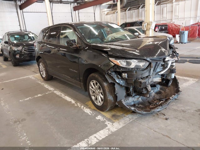 2019 CHEVROLET EQUINOX LS - 1