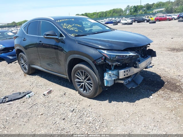 2023 LEXUS NX 350 PREMIUM - 1