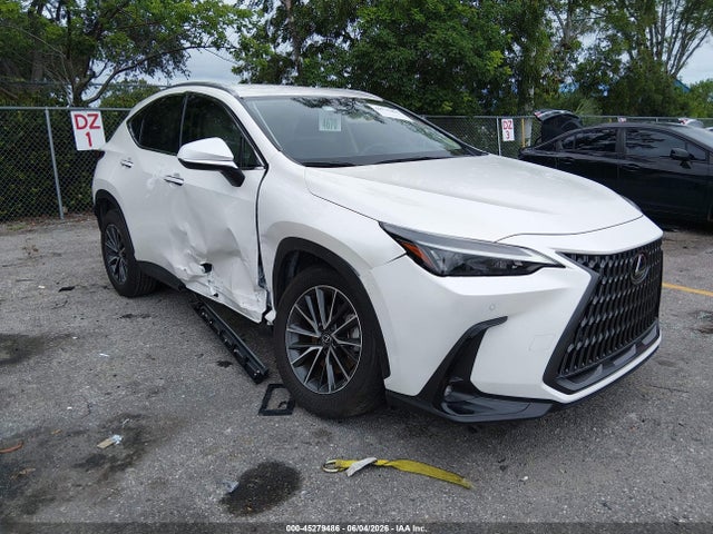 2025 LEXUS NX 250 - 1