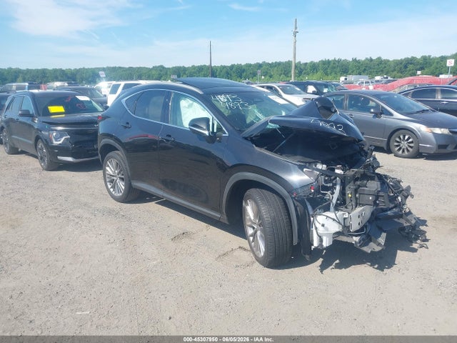 2023 LEXUS NX 350 LUXURY - 1