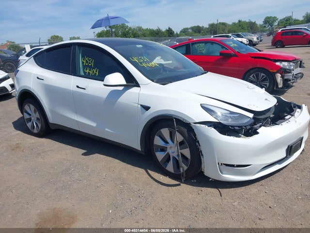 2023 TESLA MODEL Y - 1