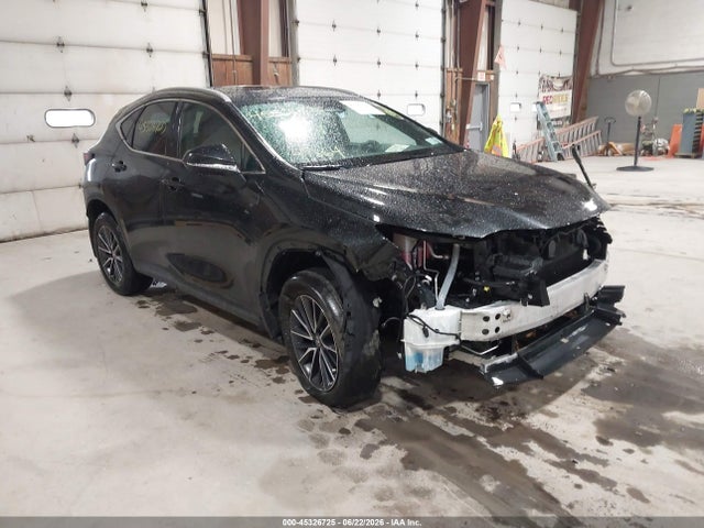 2025 LEXUS NX 350H - 1