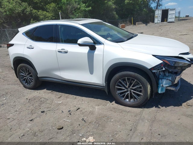 2024 LEXUS NX 350 PREMIUM - 1