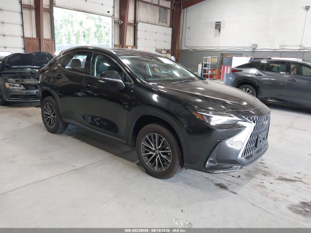 2025 LEXUS NX 350 - 1