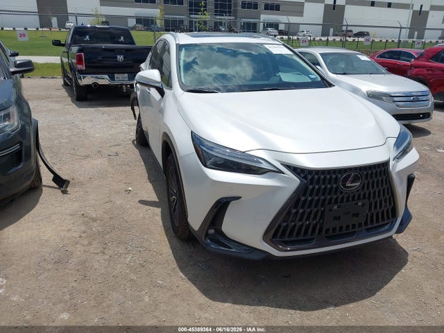 2024 LEXUS NX 350 PREMIUM - 1