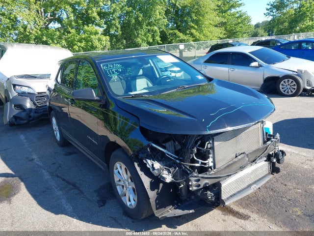 2019 CHEVROLET EQUINOX LS - 1