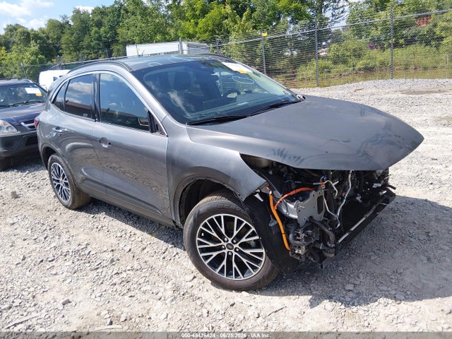 2024 FORD ESCAPE PHEV - 1