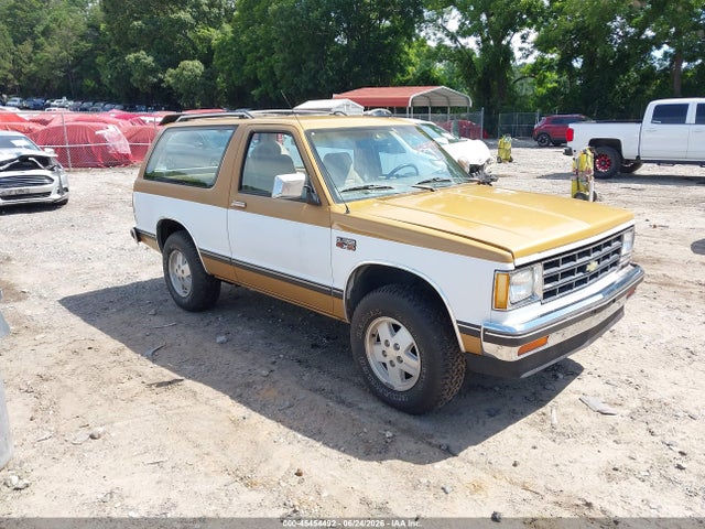 1985 CHEVROLET BLAZER S10 - 1