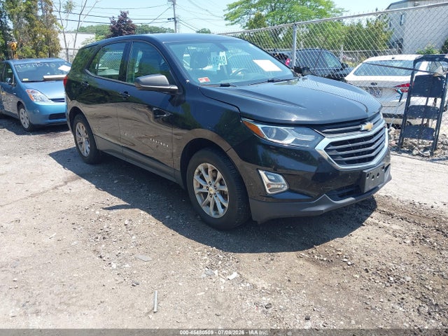 2019 CHEVROLET EQUINOX LS - 1